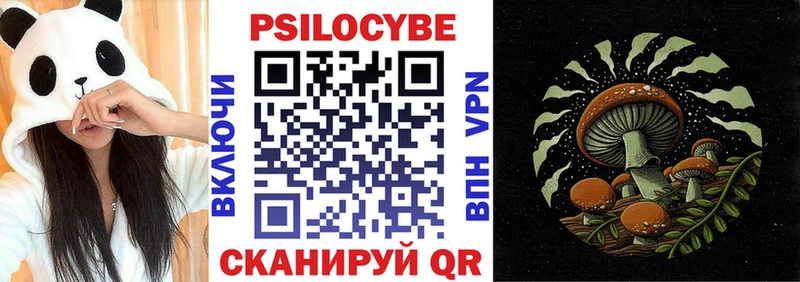 Псилоцибиновые грибы Cubensis  Азнакаево 